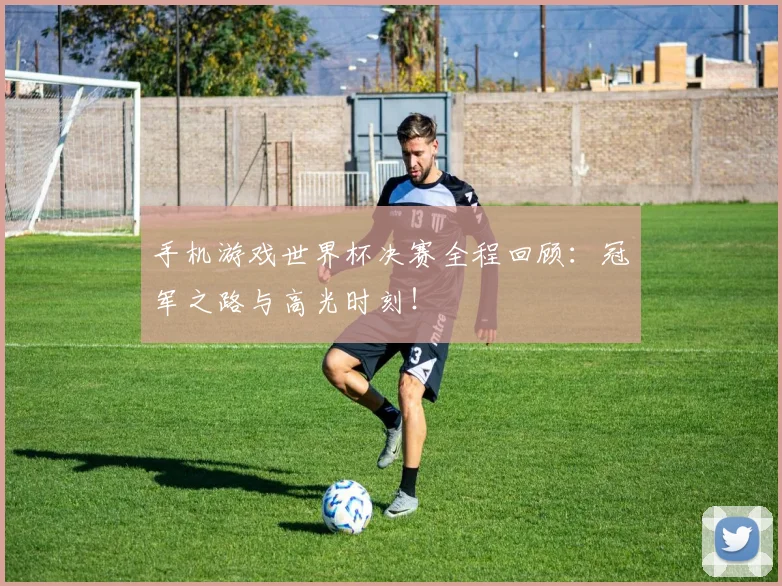 手机游戏世界杯决赛全程回顾：冠军之路与高光时刻！
